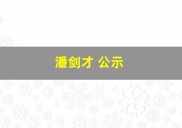 潘剑才 公示